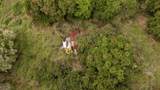 87-2721 Hawaii Belt Rd - Photo 12