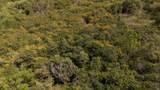 87-2721 Hawaii Belt Rd - Photo 13