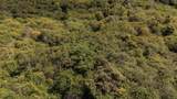 87-2721 Hawaii Belt Rd - Photo 10