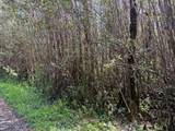 16-1507 Road 2 (Ao) - Photo 6