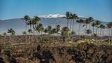 68-1399 Mauna Lani Dr - Photo 30