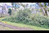  Plumeria Rd - Photo 5
