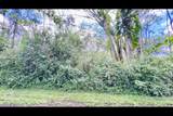  Plumeria Rd - Photo 6
