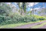  Plumeria Rd - Photo 7
