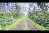  Plumeria Rd - Photo 9
