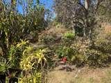 92-8884 Koa Ln - Photo 6