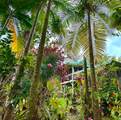 13-1291 Kahukai St - Photo 1