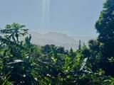 5339 Honoiki Rd - Photo 15