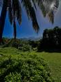 5339 Honoiki Rd - Photo 3