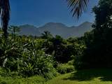 5339 Honoiki Rd - Photo 4