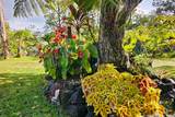 11-3741-A Alaohia St - Photo 30