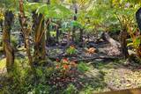 11-3741-A Alaohia St - Photo 10