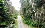 19-4164 Alanui Iiwi Rd - Photo 1