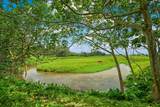 636 Puuopae Rd - Photo 21
