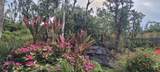 11-1772 Puna Wai Ave - Photo 11