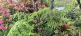11-1772 Puna Wai Ave - Photo 13