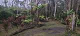11-1772 Puna Wai Ave - Photo 15