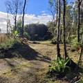 11-1772 Puna Wai Ave - Photo 10