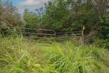 76-1302 Waiono Ranch Rd - Photo 3