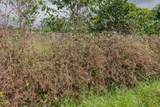 76-1302 Waiono Ranch Rd - Photo 7