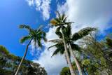 12-7211 Mauka Nui St - Photo 14