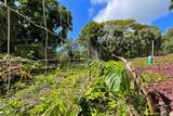 12-7211 Mauka Nui St - Photo 9