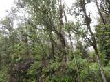  Nene St - Photo 1