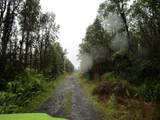  Nene St - Photo 4