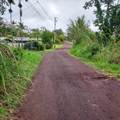  Paradise Ct - Photo 7