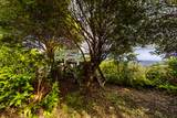 36-2335 Puualaea Homestead Rd - Photo 12
