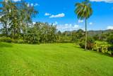 597 Puuopae Rd - Photo 14