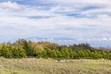  Hall Rd - Photo 9