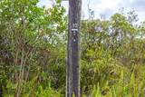 16-255 Orchidland Dr - Photo 8