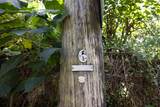  Address Not Published - Photo 6