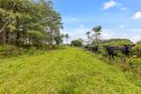 17-855 Olaa Rd - Photo 12