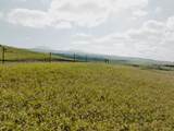  Kalama Way - Photo 12