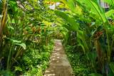 1831 Poipu Rd - Photo 29