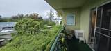 355 Orchid Manor - Photo 10
