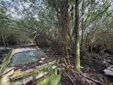 12-566 Hawaii St - Photo 8