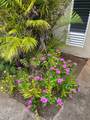 4461 Kamoa Rd - Photo 10