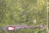  Lehua St - Photo 5