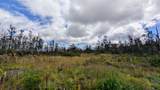 11-3278 Hibiscus St - Photo 20