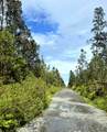  Road 3 (Hopue) - Photo 4