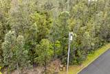  Hibiscus St - Photo 10