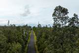  Hibiscus St - Photo 16