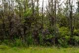  Hibiscus St - Photo 19