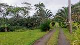 17-7946 Kulani Rd - Photo 29