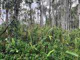  Hawaii Rd - Photo 2