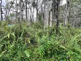  Hawaii Rd - Photo 3