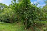  Hauiki Rd - Photo 26